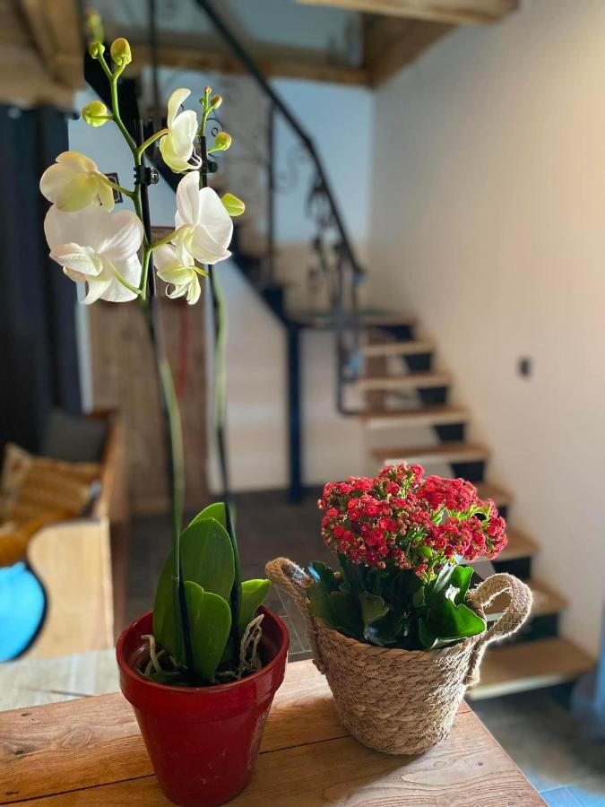 Appartement L'instant présent à Echallon Extérieur photo